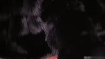 欧美骚母狗Octavia Red极品的身材 白皙的皮肤关键还是白虎 与黑人大战三百回合 淫叫不断！