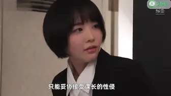 π293 全员变态公司里的小雏菊