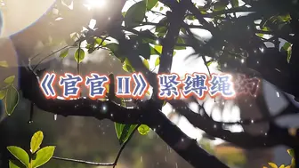 【白城出品】第十二部《官官II紧缚绳幻想》全集