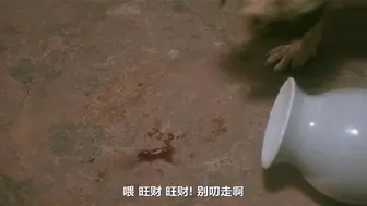 玉蒲团之偷情宝鉴 香港三级