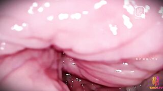 [糖心Vlog] 绿帽浓精 老婆 你为什么肯让别人操你 还是个小保安 - 白菜妹妹